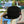 808ALLDAY New Era Black Out HiloSnapback