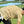 808ALLDAY Men's Sand Tonal Island Camo Golf Polo