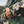 808ALLDAY Green Camo Windbreaker