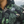 808ALLDAY Green Camo Windbreaker