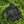 808ALLDAY Black Windbreaker