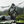 808ALLDAY Green Camo Windbreaker