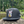 808ALLDAY New Era Lucky Cat Black Ripstop Snapback