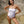 808ALLDAY Women's Cloud Alahe'e Strapless One Piece