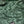 808ALLDAY Green Block Floral Mesh Shorts